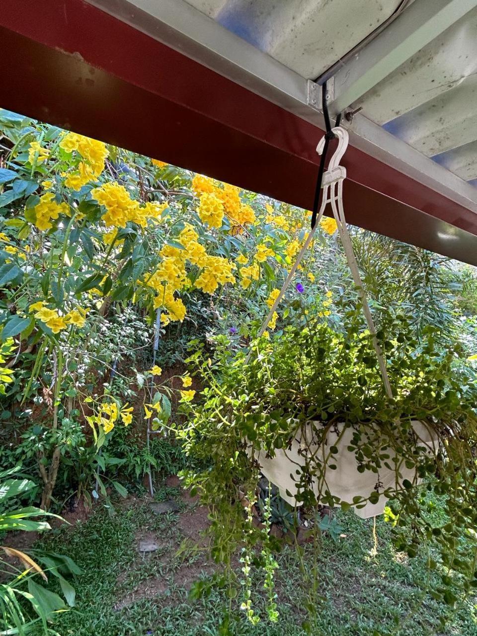 Lohas Villa Hiriketiya Dickwella Exterior foto