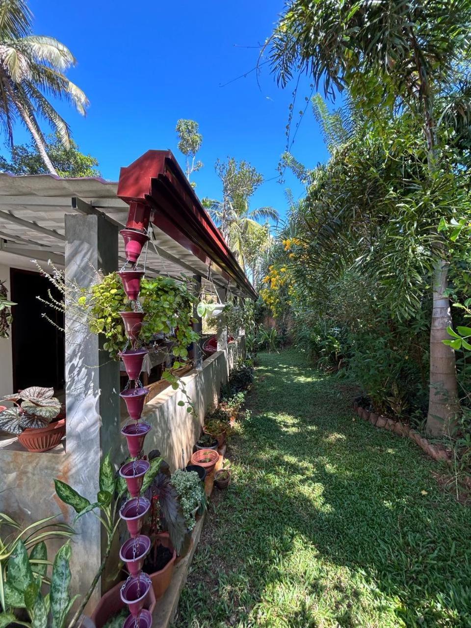 Lohas Villa Hiriketiya Dickwella Exterior foto